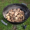 Camerons Products Smoking Wood Chunks (Pecan) ~10 Pounds, 840 cu.