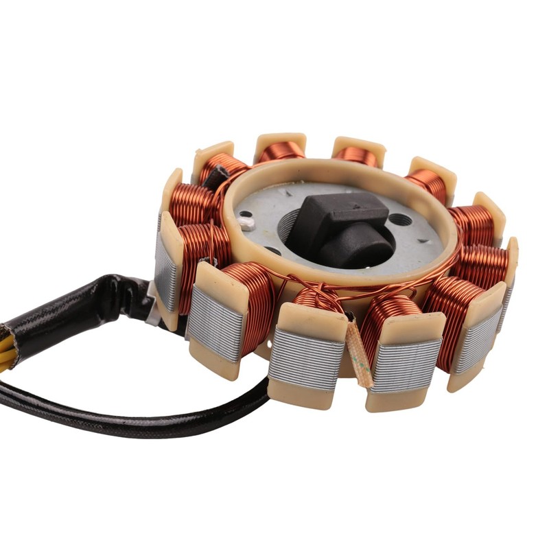 Lyaciomn Coil 12 Pole Stator DC Coil Ignition Stator for
