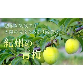 Seedcoms Plum Extract Supplement (Approx. 3 month supply) 90 tablets Citric acid Malic acid Mumefurasu