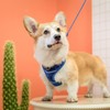 SCENEREAL Puppy Dog Harness with Leash Set for Small Medium