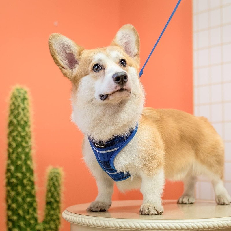 SCENEREAL Puppy Dog Harness with Leash Set for Small Medium