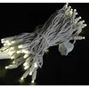 Novelty Lights 50 Light LED Twinkle Christmas LED Mini Light