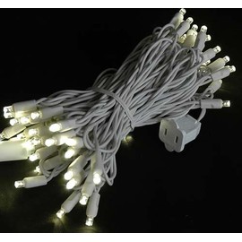 Novelty Lights 50 Light LED Twinkle Christmas LED Mini Light Set, Outdoor Fairy Wedding String Lights, Warm White, White White, 25 Feet