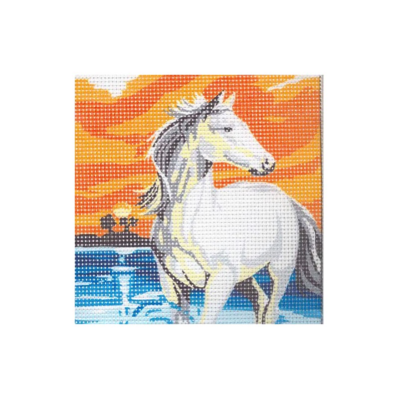 Distrifil Kit Canevas Cheval