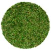 SuperMoss (26315) Moss Soil Toppers (Place Mats), Fresh Green, 12"