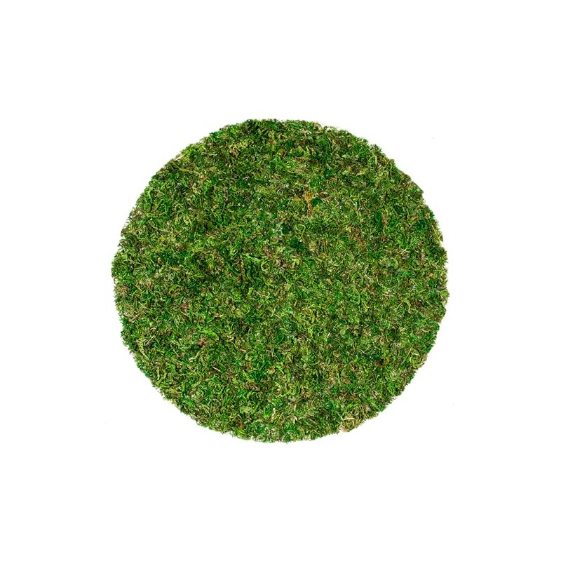 SuperMoss (26315) Moss Soil Toppers (Place Mats), Fresh Green, 12"