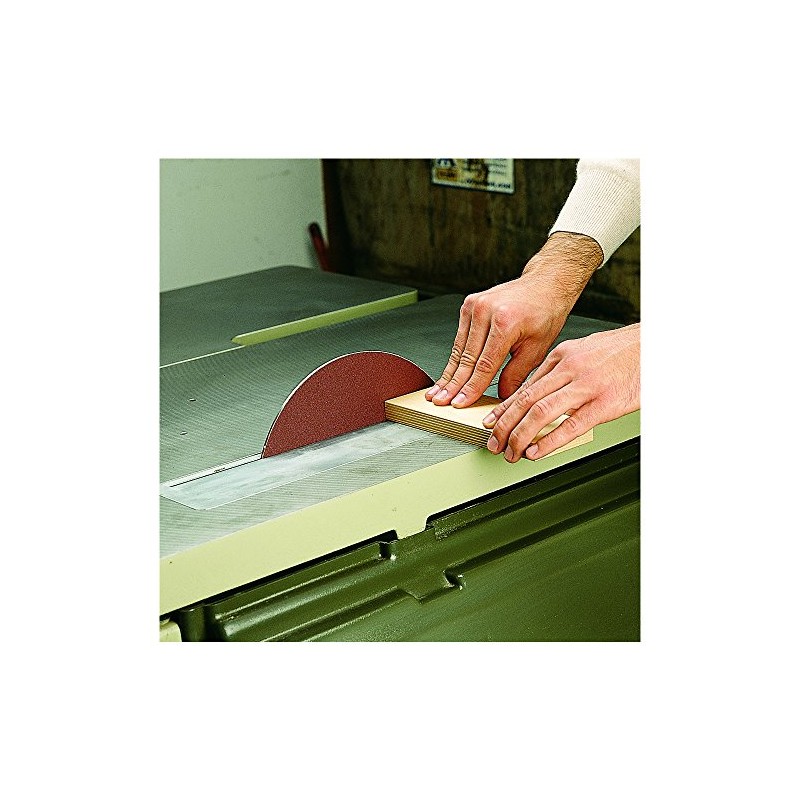 CMT 299.111.00 8" Table Saw Balance Blade & Sanding Disc