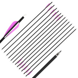 AMEYXGS 12 pcs 32inch Hunting Arrow 500 Spine Mixed Carbon Fiber Arrows Target Practice Arrows with 3inch Rubber Feather 94 Grain Arrowhead and Portable Retractable Quiver (Arrow)