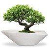 EPFamily Bonsai Pots - 18 Inch Ceramic Plant Pot for