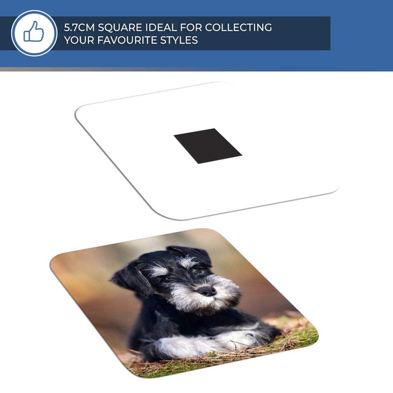 Destination Vinyl ltd Fridge Magnet - Miniature Schnauzer Dog Puppy