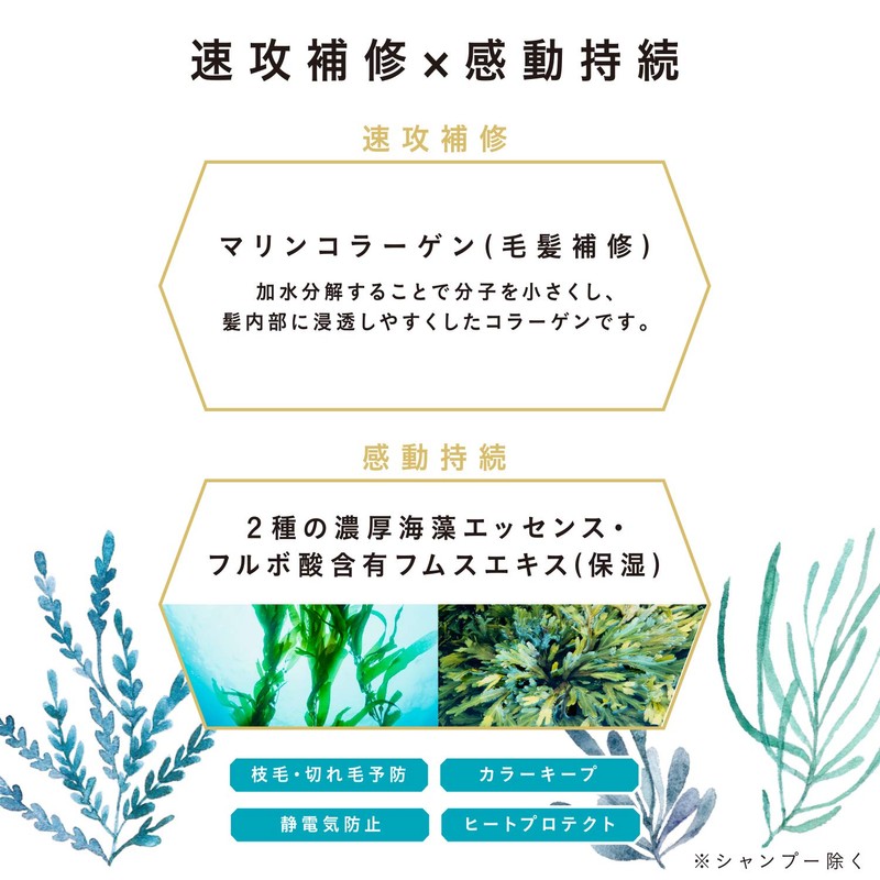 KOSE Je l’aime Amino Algae Rich Deep Moist Shampoo Refill,