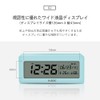 HuBDIC (HT-6) Temperature Humidity Date Day Alarm Snooze Backlight Included,