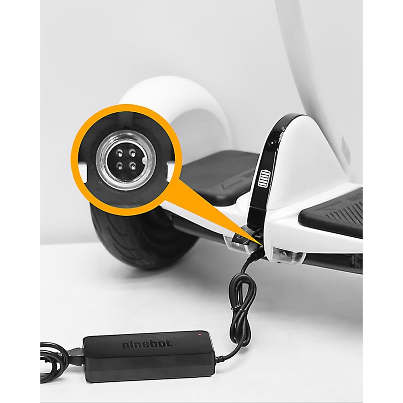 4 Prong Scooter Charger for Segway Ninebot S/S-MAX/S2/Mini PRO/Mini lite,