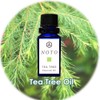 NOTO TEATREE OIL Essential Oil 0.2 fl oz (5 ml)