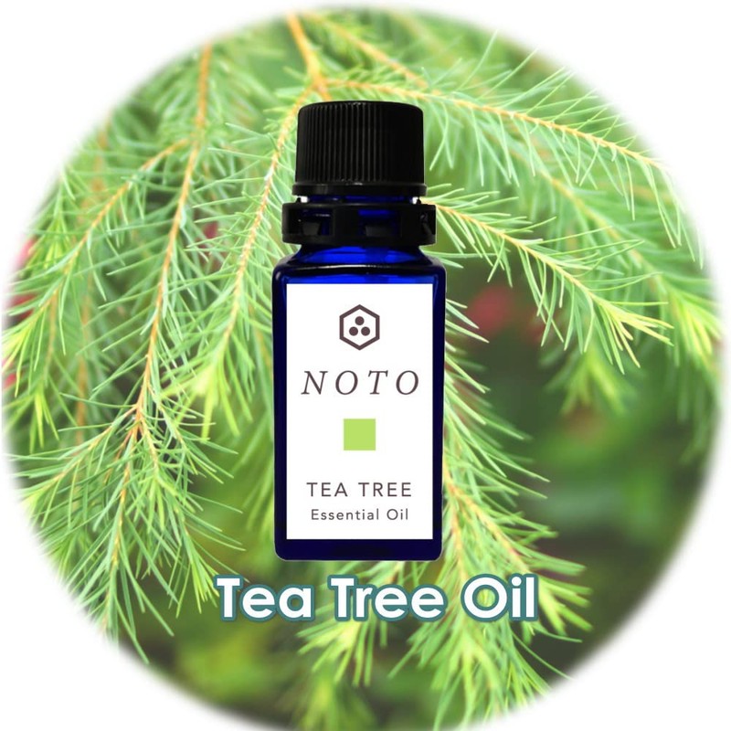 NOTO TEATREE OIL Essential Oil 0.2 fl oz (5 ml)