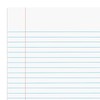STAPLES Steno Pads, 6'' x 9'', Narrow Ruled, 100 Sheets/Pad,