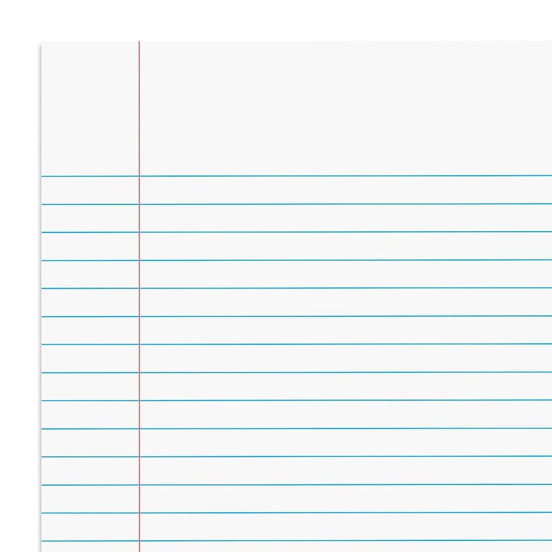 STAPLES Steno Pads, 6'' x 9'', Narrow Ruled, 100 Sheets/Pad,