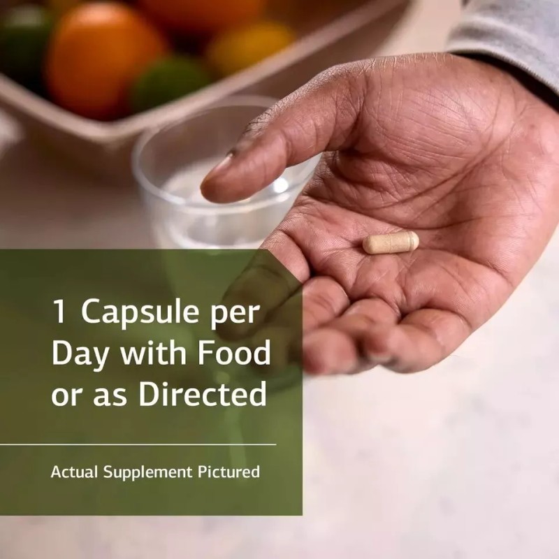 Standard Process Ferrofood Whole Food Antioxidant, Healthy Blood and Hemoglobin