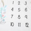 Flannel Baby Monthly Milestone Blanket Infant Growth Memory Blanket Photography