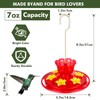 Plastic Hummingbird Feeders for Outdoors Hanging Ant and Bee Proof,