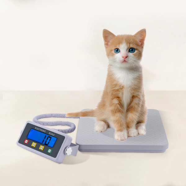 Unbranded Medical Grade Floor Scale Digital LCD Display Slimline Scale