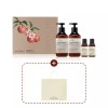 Beyond 비욘드 토탈 리커버리 바디 2종세트 Beyond Total Recovery Body