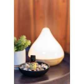 Song of India - India Temple | Natural Fragrance Oil | Set of Four 10ml Bottles |