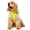 Dog Harness, Adjustable Mesh Vest, 8 Colors, Lightweight and Comfortable