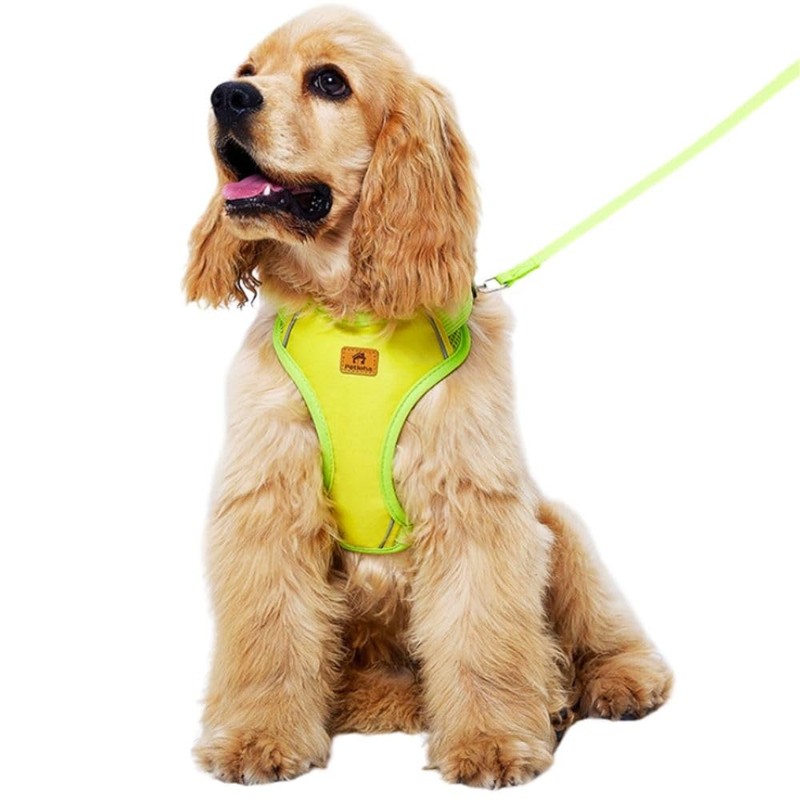 Dog Harness, Adjustable Mesh Vest, 8 Colors, Lightweight and Comfortable