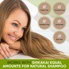 Davis Finest Organic Reetha Aritha Soap Nuts Powder Shampoo SLS-Free