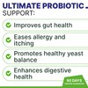 Probiotic, Enzyme, Prebiotic, Dog Chews for Digestive Support - Helps