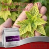 KALIX Magnesium Sulfate Fertilizer | 100% Water-Soluble Epsom Salt |