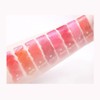 HOLIKAHOLIKA Foggy Blur Tint Holica Moist Misty Transparency 30% Coloring