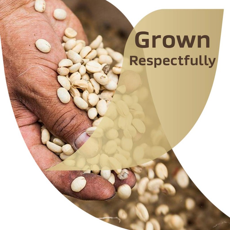 NESCAFE Taster's Choice, Decaf House Blend Light Medium Roast Instant