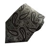 Rex Standard NA006 Men's Necktie, Paisley Pattern, Business, Casual Suit,