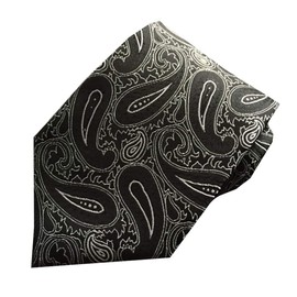 Rex Standard NA006 Men's Necktie, Paisley Pattern, Business, Casual Suit, Stylish, Black