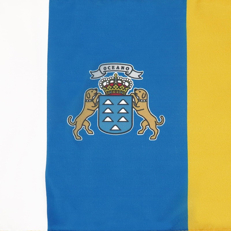 AZ FLAG Canary Islands Flag 18'' x 12'' cords -