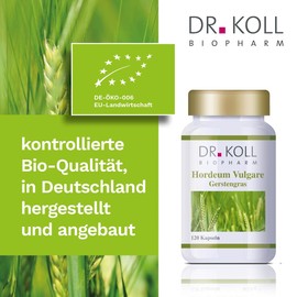 Dr. Koll Barley Grass Hordeum Vulgare Plant Extract, 100% Vegan, Highest Organic Quality, Grown and Made in Germany, Natural Dietary Supplement (120 Capsules, 63.6 g)