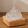 Lecdura Glass Essential Oil Diffuser with Glass Reservoir & Wood