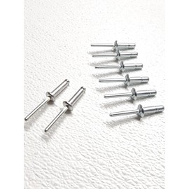 Unbranded Universal 1/4" Window Regulator & Glass Rivets 6 Short 2 Long for Ford Vehicles