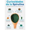 Espirulina Viva Alga Semilla Natural Culitvo