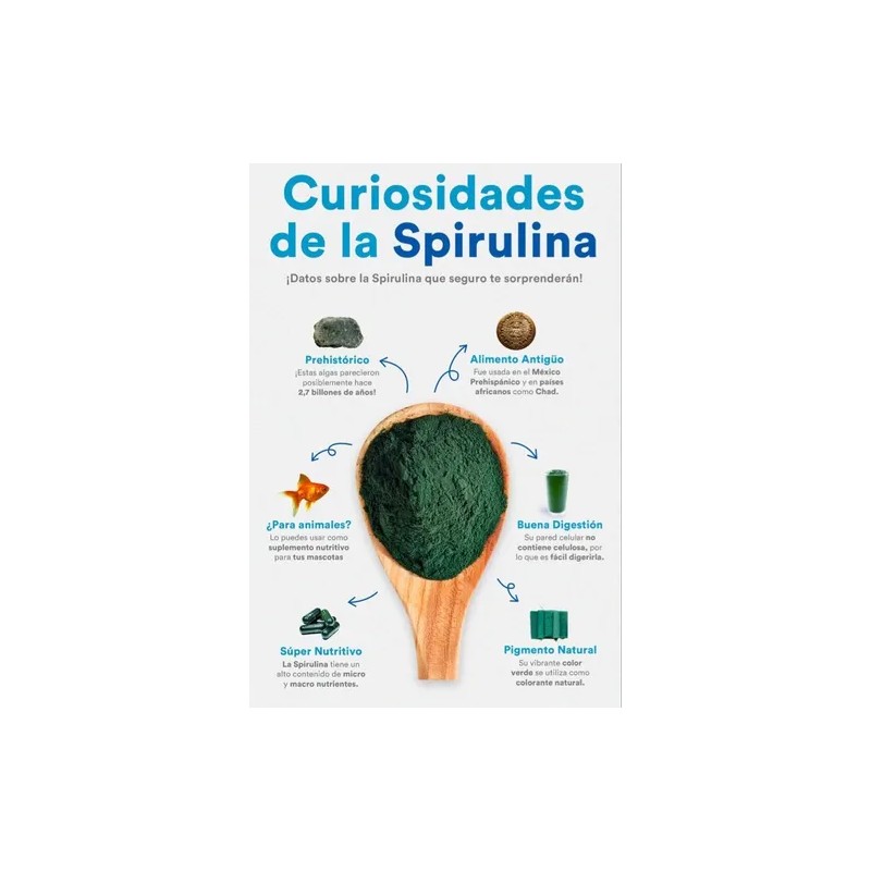 Espirulina Viva Alga Semilla Natural Culitvo