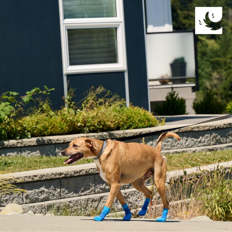 RC Pets Sporty PAWks Dog Socks, Charcoal Heather, X-Small