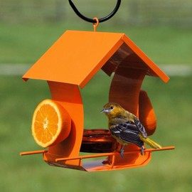 Woodlink 35319 Metal House Oriole Feeder