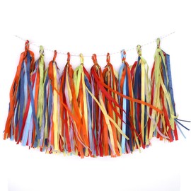 Rainbow Tissue Paper Tassel Garland Pre-Assembled 10 Colors Paper Tassel Colorful Paper Tassel Garland Table Decor for Christmas Birthday Wedding Bridal Shower Party (Mix Rainbow 10 PCS)