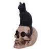 Nemesis Now Familiar Fate 24.3cm Black Witches Cat and Skull