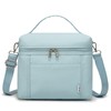 NOL Natural Organic Lifestyle Insulated Lunch Bags for Women Cooler