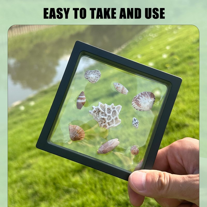 DEALSGOGO 2pcs Seashell holder, 3D Floating Seashell Display Box, Transparent