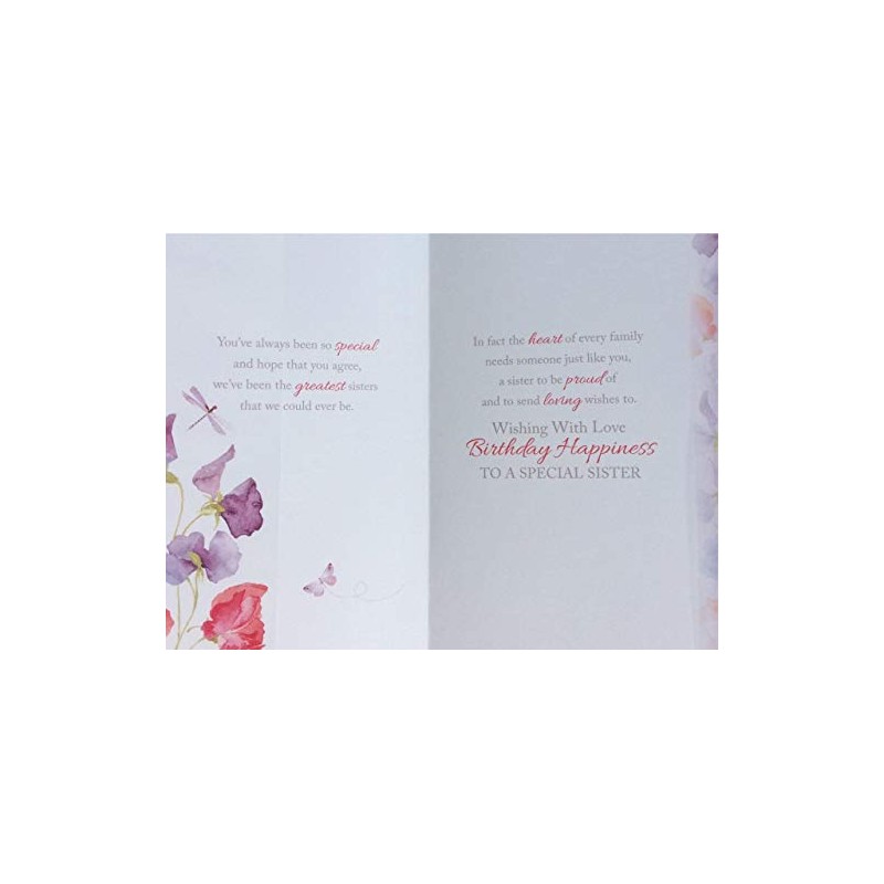 A Special Birthday Message just for You Sister Card ~