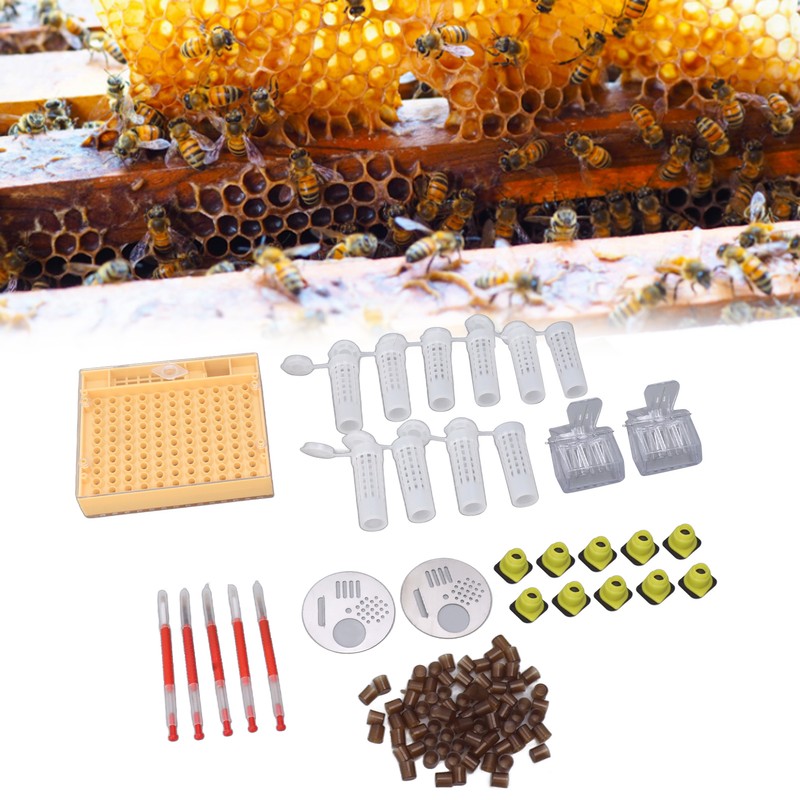 Plastic Queen Rearing System Beekeeping Queen Bee Rearing Grafting Kit